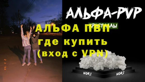 герыч Бородино