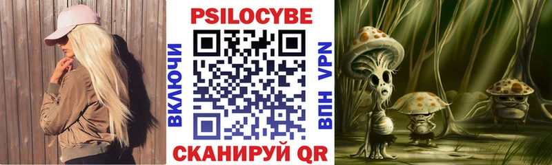 Галлюциногенные грибы Psilocybe Семёнов